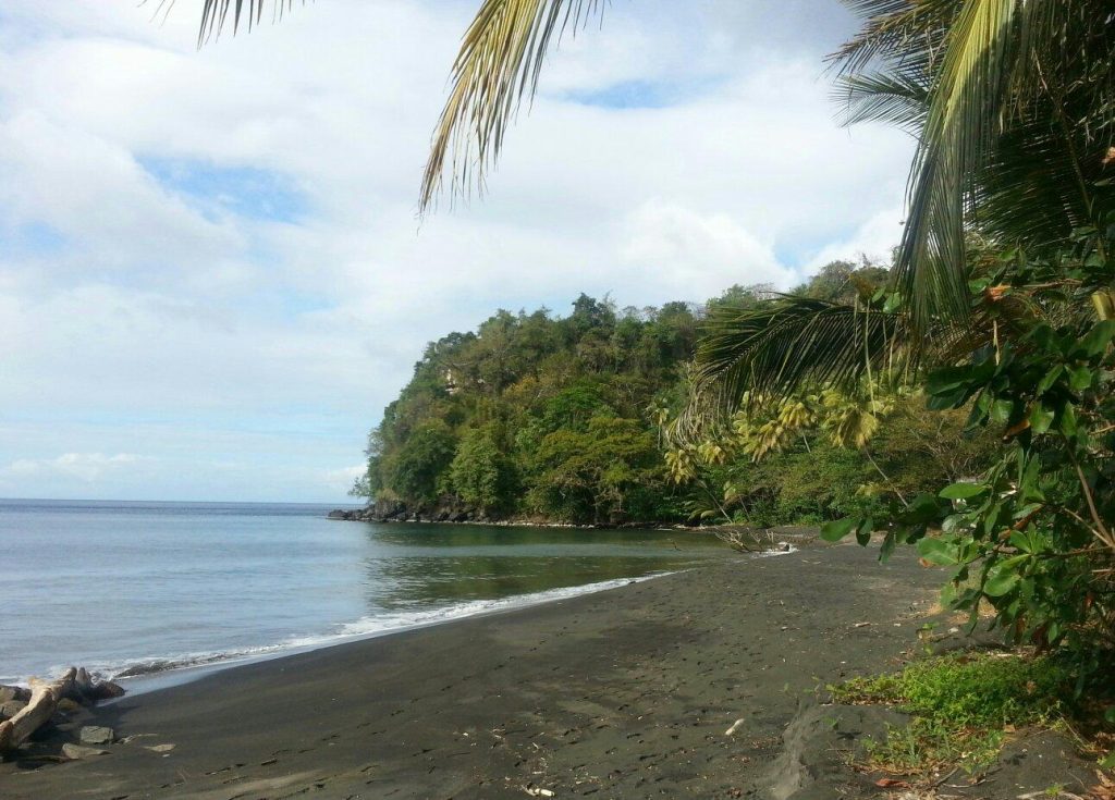 Black Bay Beach In St Georges Grenada West Indies