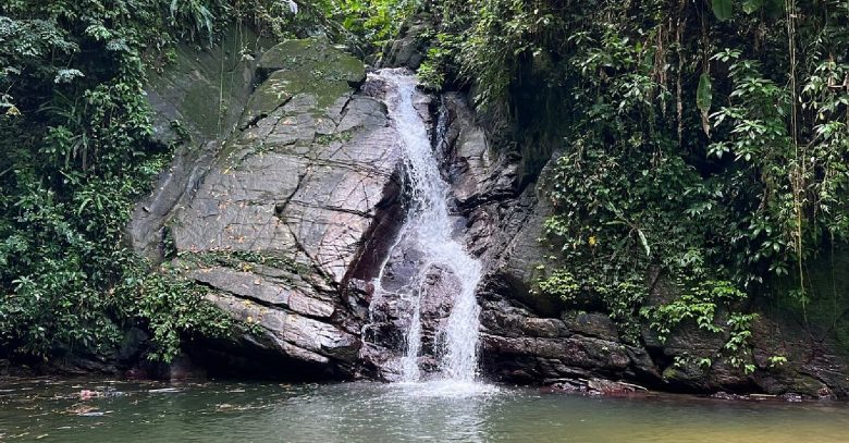 Castaigne Waterfall Grenada