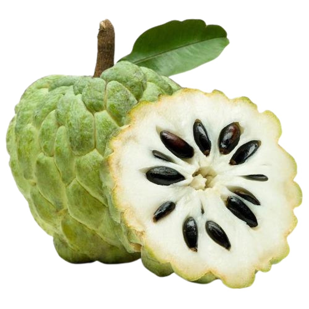 Custard Apple