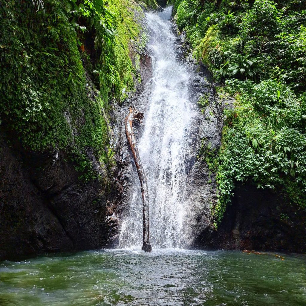 Fountainbleu Falls 2