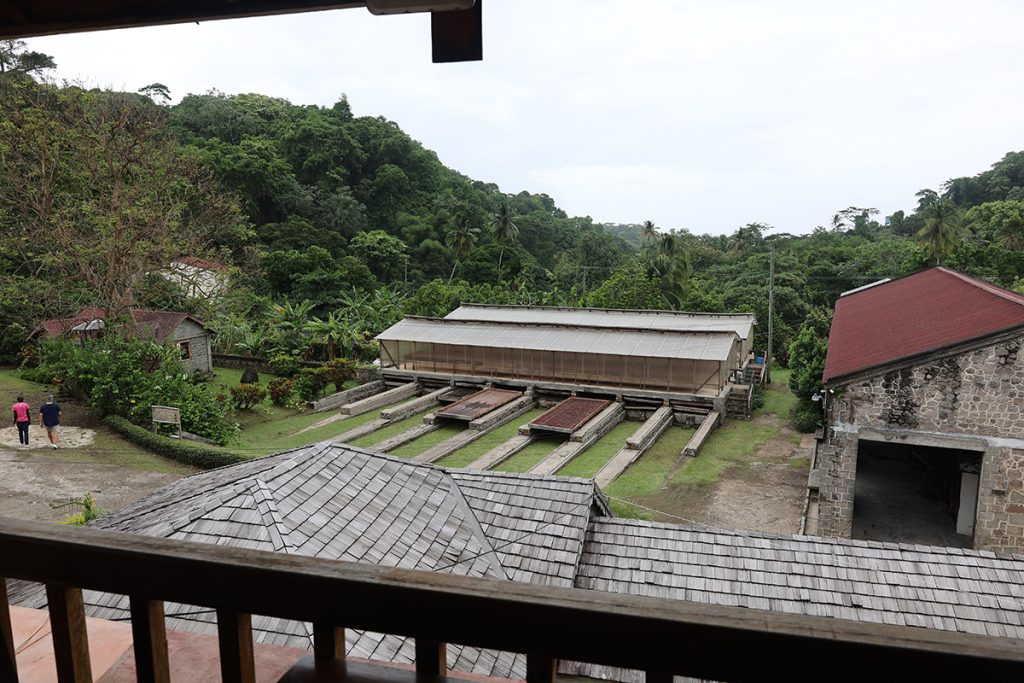 Grenada Belmont Estate