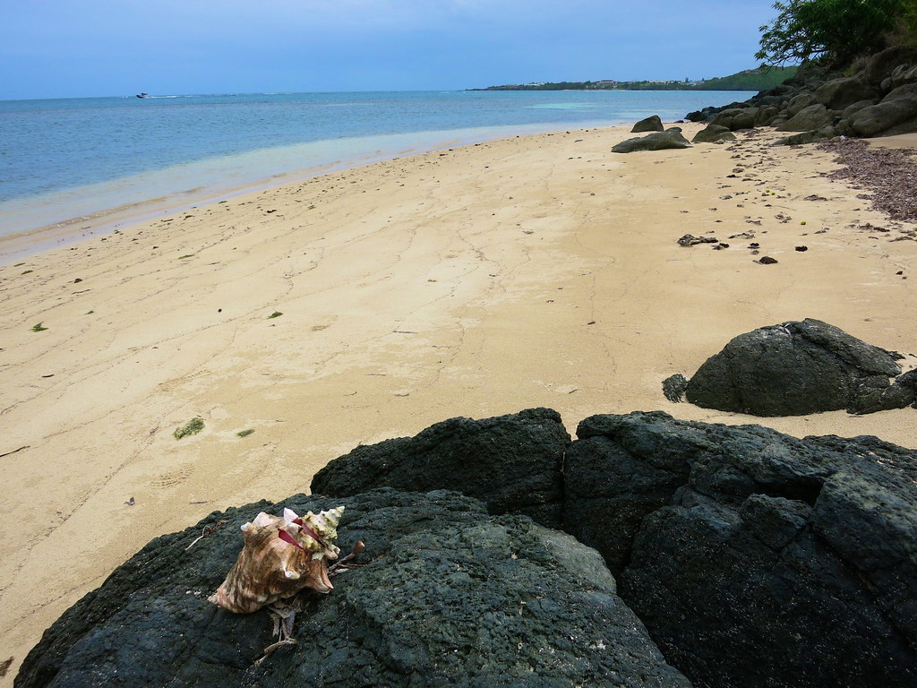 Hog Island Beach In St Georges Grenada West Indies