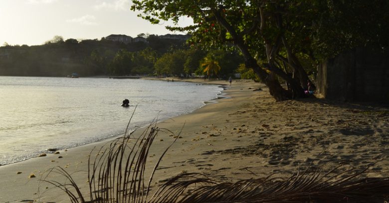 Lance Aux Epine Beach