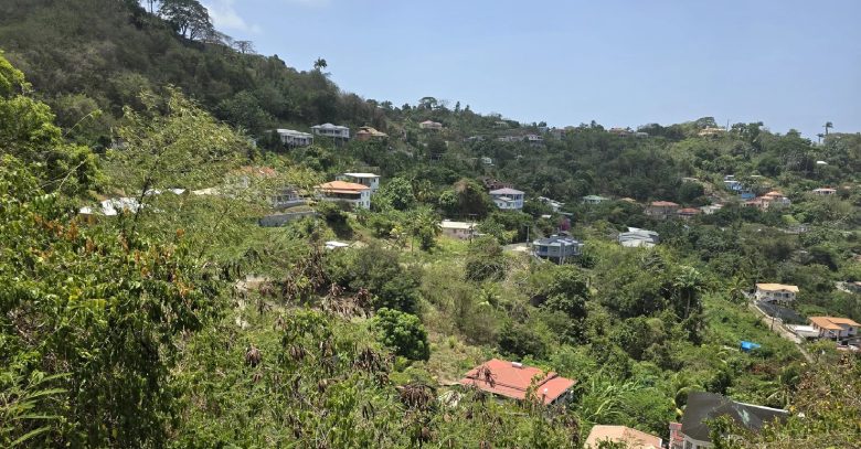 Mt. Parnassus Plantation