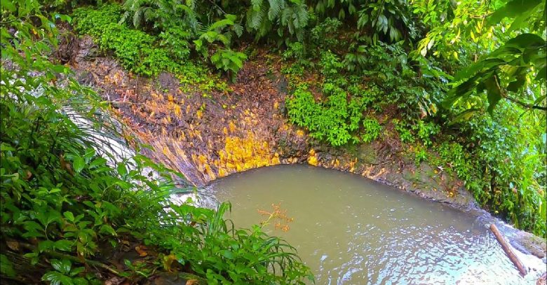 Rainbow Falls Grenada