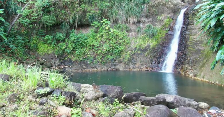 Shodoo Falls Grenada