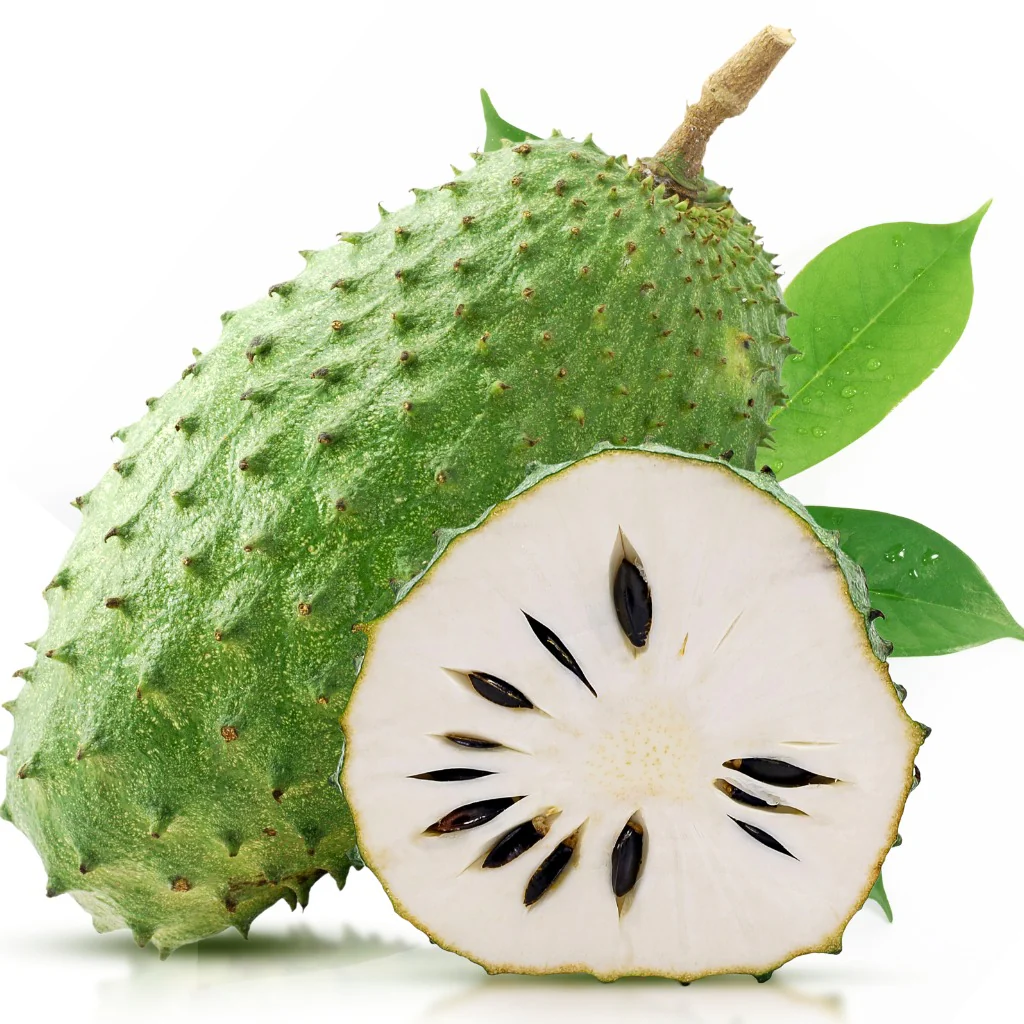 Soursop
