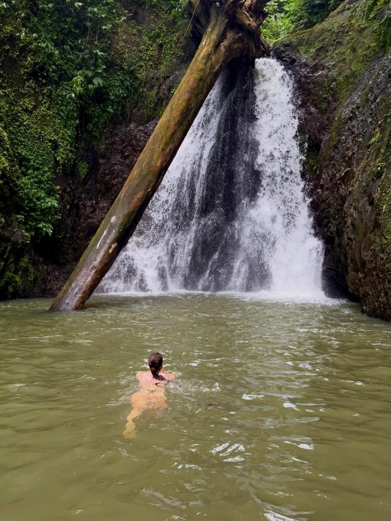 Waterfall In Grenada West Indies