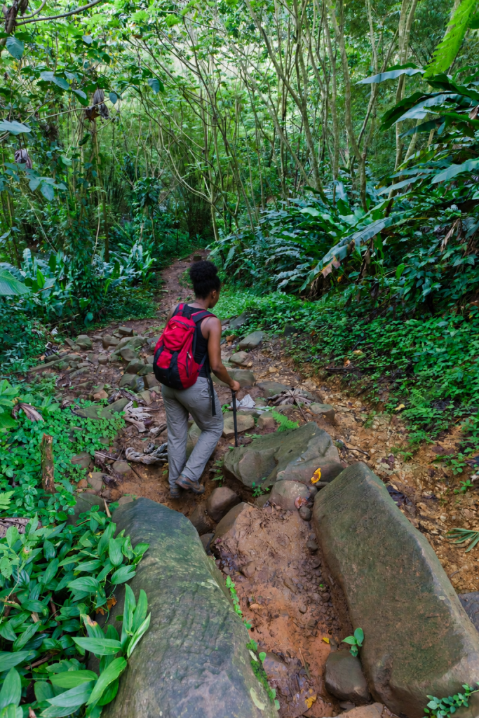 Hiking Grand Etang National Park